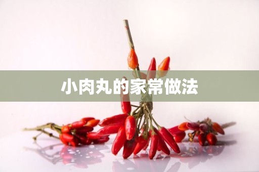 小肉丸的家常做法