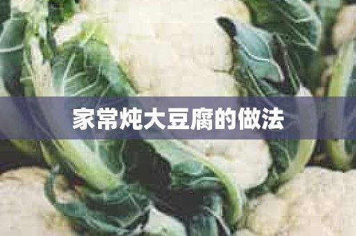 家常炖大豆腐的做法