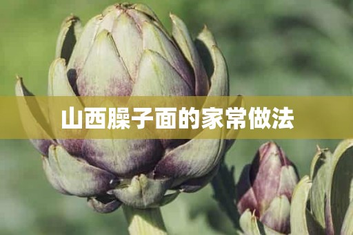 山西臊子面的家常做法