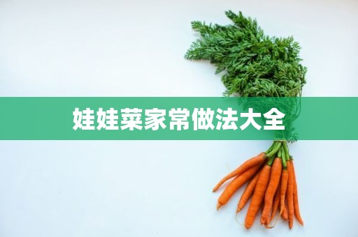 娃娃菜家常做法大全