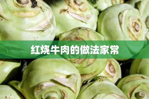 红烧牛肉的做法家常