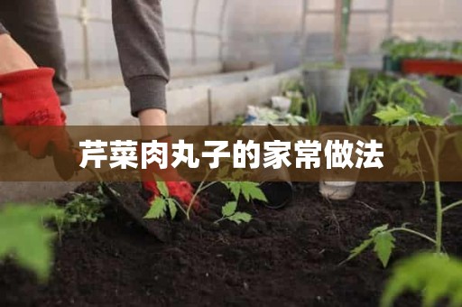 芹菜肉丸子的家常做法