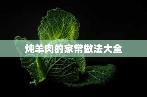 炖羊肉的家常做法大全