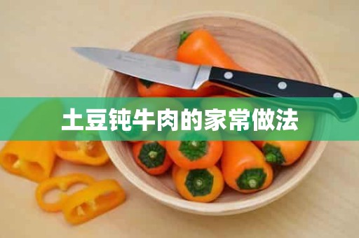 土豆钝牛肉的家常做法