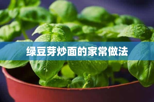 绿豆芽炒面的家常做法