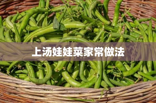 上汤娃娃菜家常做法