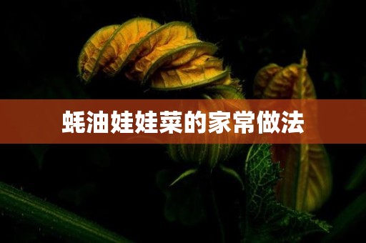 蚝油娃娃菜的家常做法