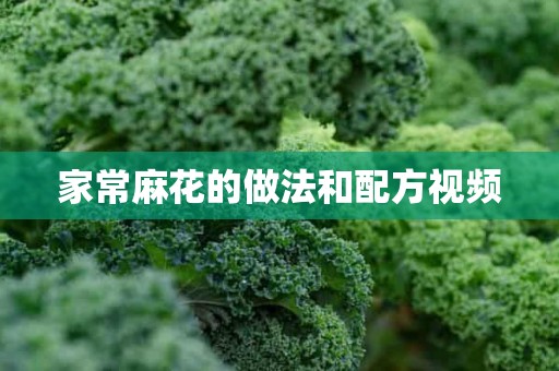 家常麻花的做法和配方视频