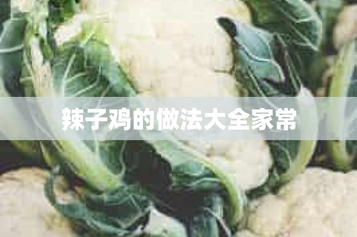 辣子鸡的做法大全家常