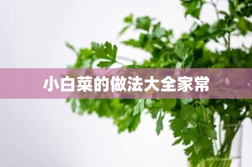 小白菜的做法大全家常