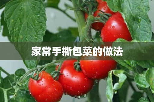 家常手撕包菜的做法