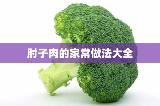 肘子肉的家常做法大全