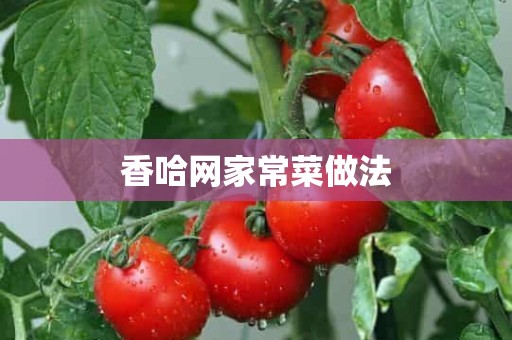 香哈网家常菜做法