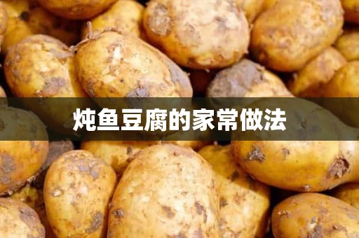 炖鱼豆腐的家常做法