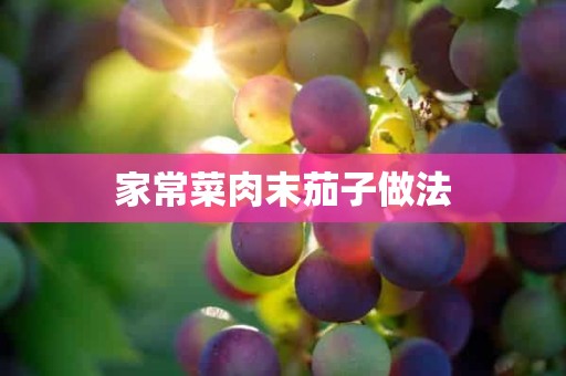 家常菜肉末茄子做法