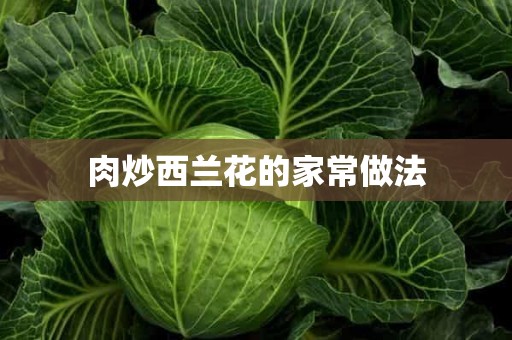 肉炒西兰花的家常做法