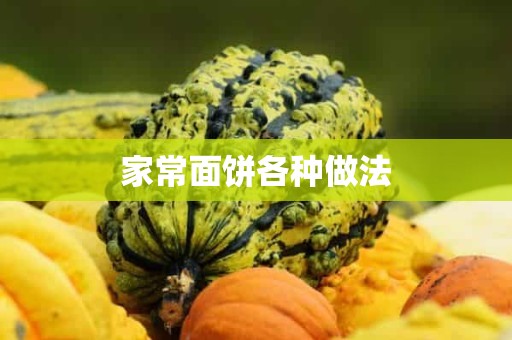 家常面饼各种做法