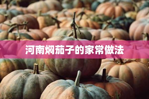 河南焖茄子的家常做法