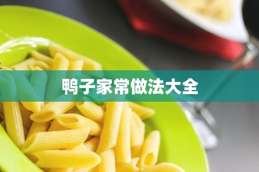 鸭子家常做法大全