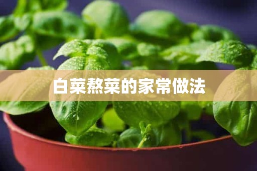 白菜熬菜的家常做法