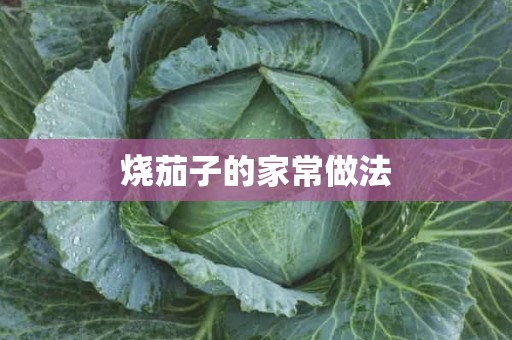 烧茄子的家常做法