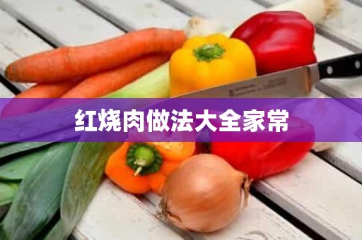 红烧肉做法大全家常