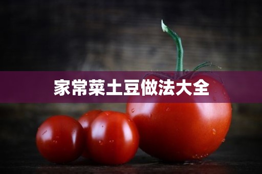 家常菜土豆做法大全