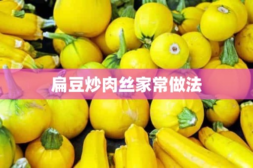 扁豆炒肉丝家常做法