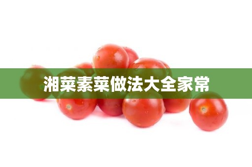 湘菜素菜做法大全家常