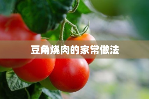 豆角烧肉的家常做法