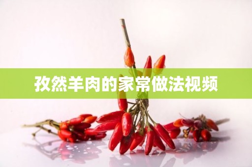 孜然羊肉的家常做法视频