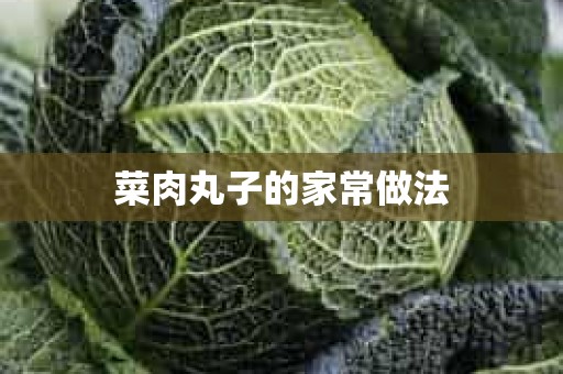 菜肉丸子的家常做法