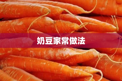 奶豆家常做法