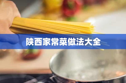 陕西家常菜做法大全