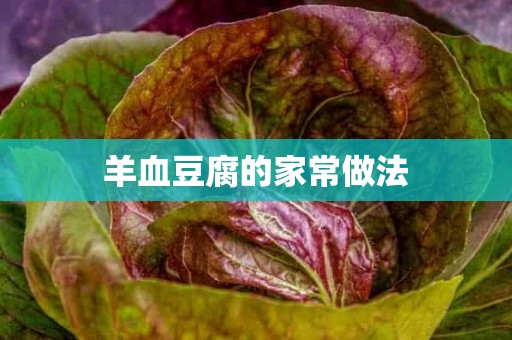 羊血豆腐的家常做法