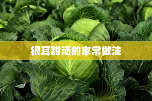 银耳甜汤的家常做法