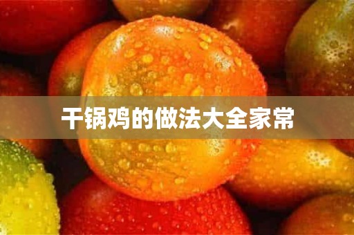 干锅鸡的做法大全家常