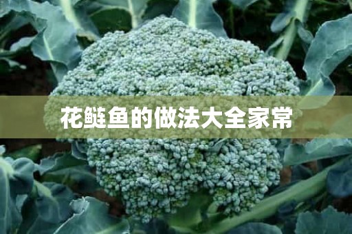 花鲢鱼的做法大全家常