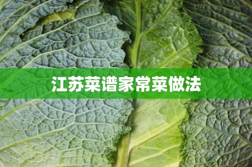 江苏菜谱家常菜做法