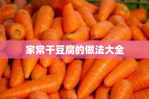 家常干豆腐的做法大全