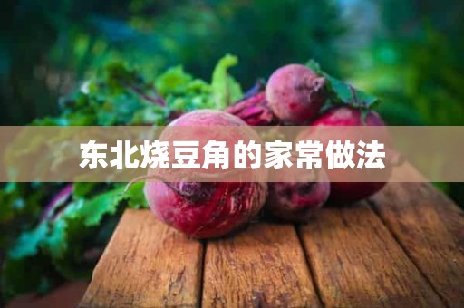 东北烧豆角的家常做法