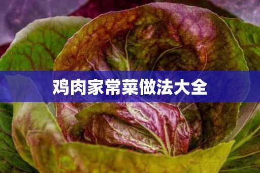 鸡肉家常菜做法大全