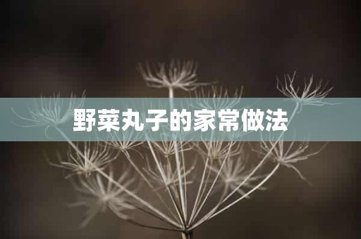 野菜丸子的家常做法