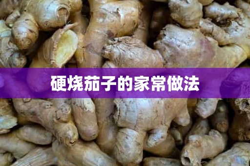 硬烧茄子的家常做法