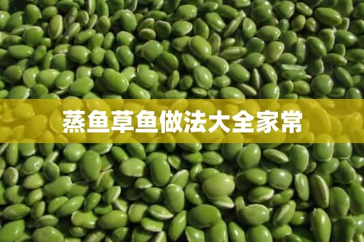 蒸鱼草鱼做法大全家常