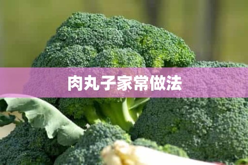 肉丸子家常做法