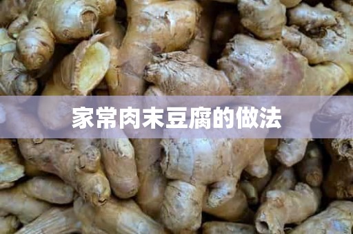 家常肉末豆腐的做法