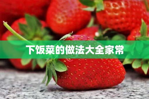 下饭菜的做法大全家常