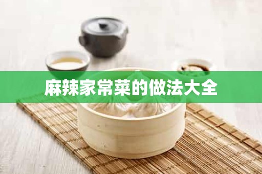 麻辣家常菜的做法大全