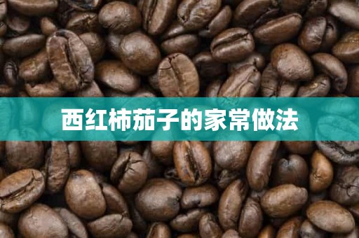 西红柿茄子的家常做法